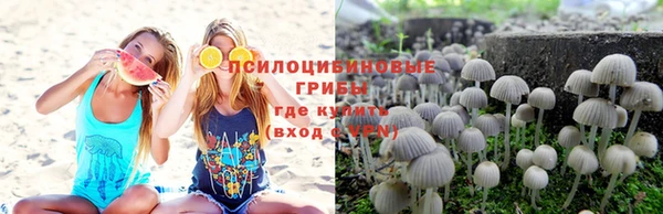 прущая мука Алексеевка