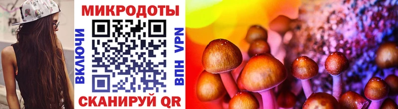 гидра рабочий сайт  Агрыз  Галлюциногенные грибы Psilocybine cubensis 